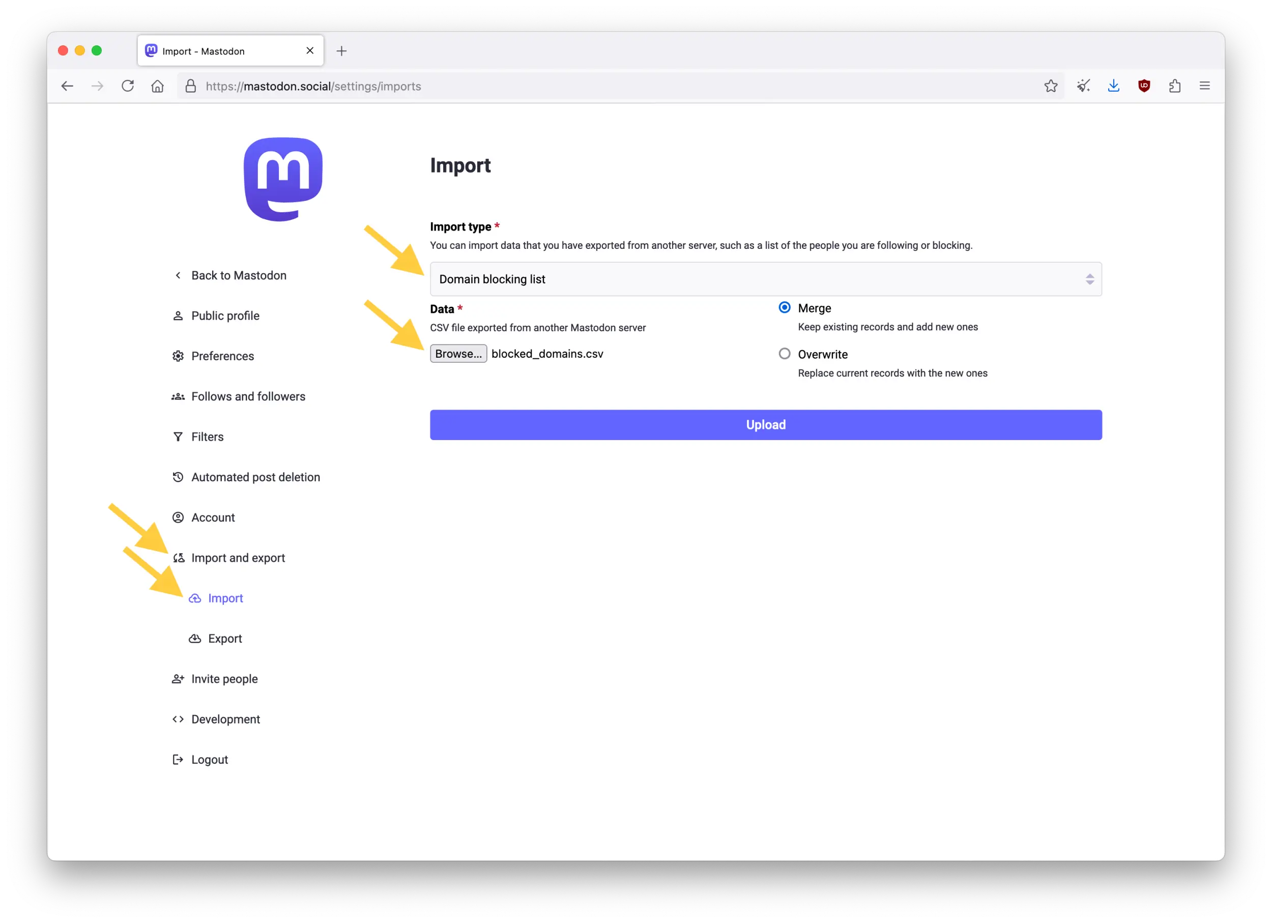 Screenshot of the Mastodon web interface showing the Import page in Preferences.