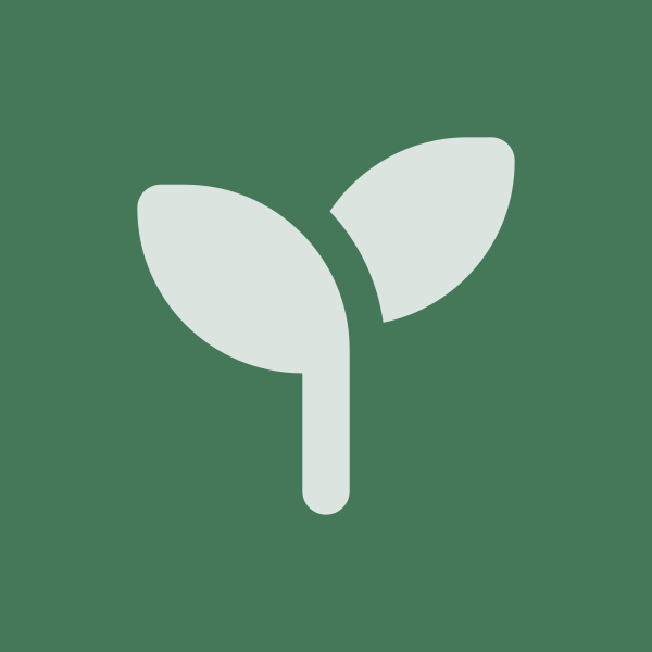 Octagon icon