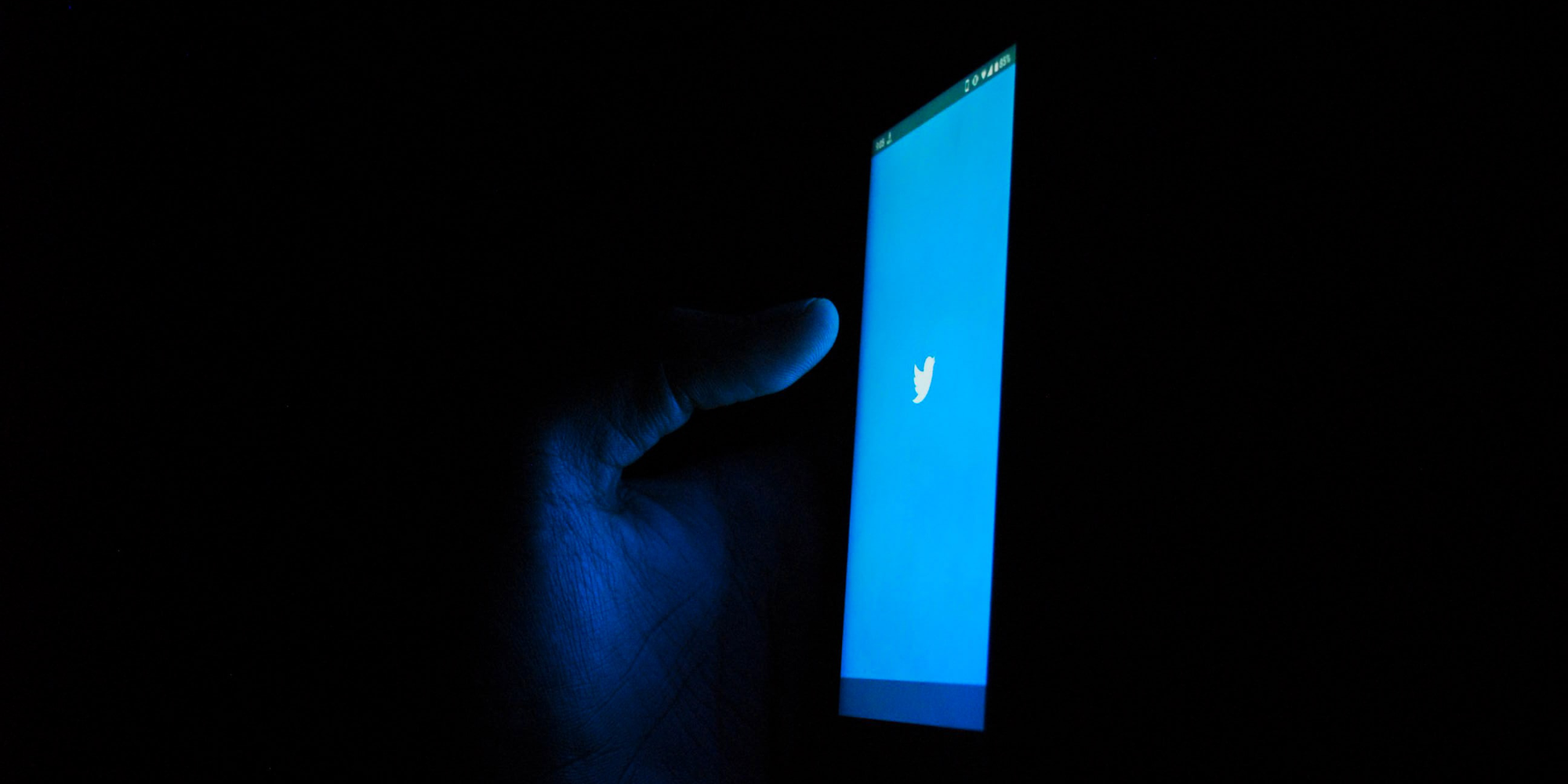 /privacyguides/privacyguides.org/raw/commit/31ba6da98dff1f93be9eef0c84d2c86b2f025df4/blog/assets/images/twitter-elon-takeover/cover.png
