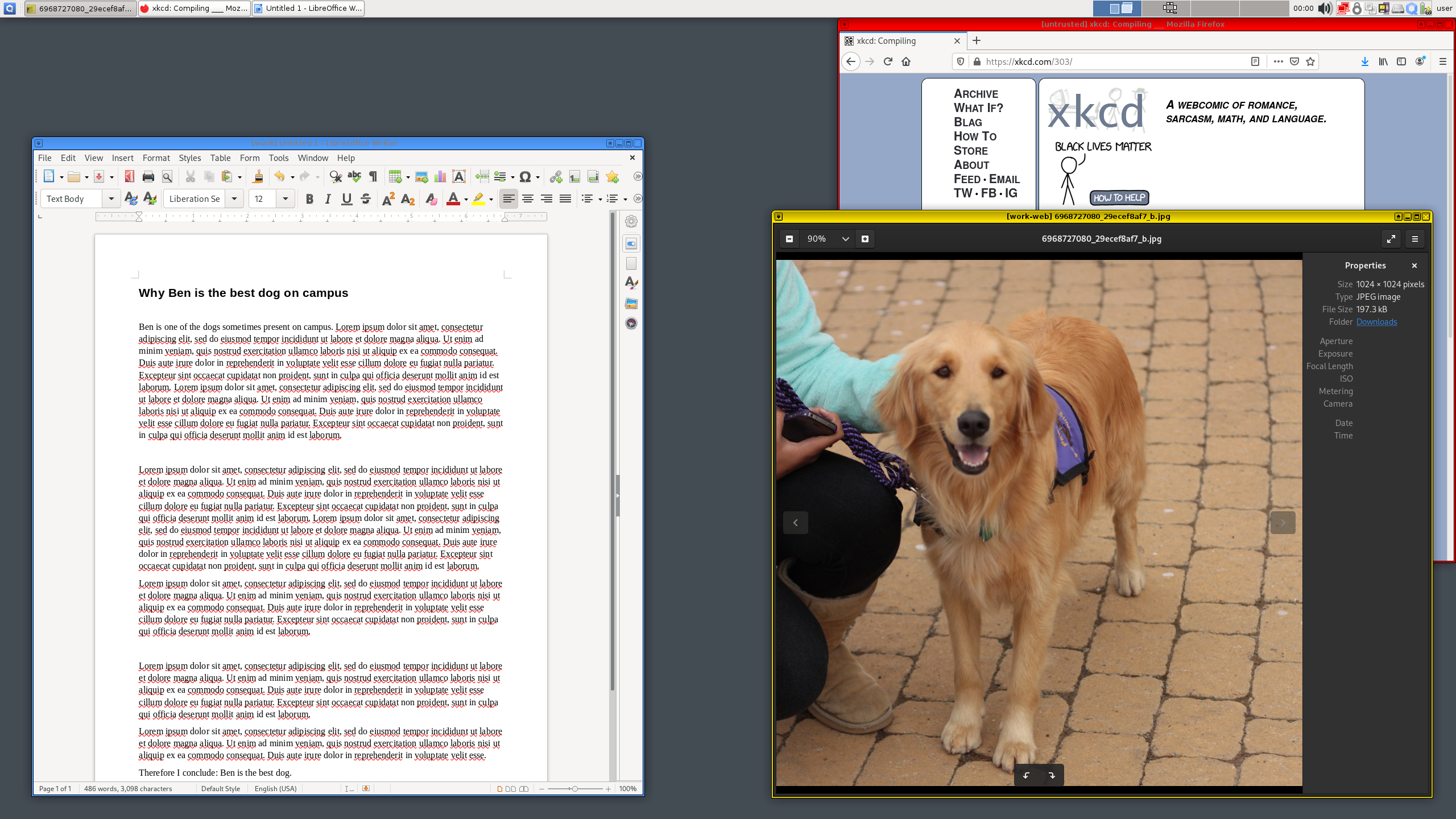 /privacyguides/privacyguides.org/raw/commit/603bec291e49656a64346e54b8de37b86c67d66d/docs/assets/img/qubes/r4.0-xfce-three-domains-at-work.png