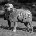 /privacyguides/privacytools.io/raw/commit/9a78f934e17ffee8f3d7e533bb5fed45eadef321/assets/img/png/3rd-party/stubby.png